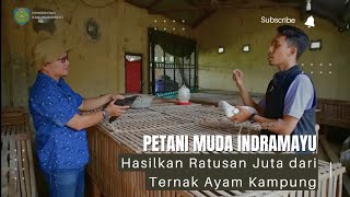 Keren  Petani Muda Indramayu Hasilkan Ratusan Juta Dari Ternak Ayam Kampung [upl. by Georgianne]