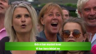 Lotta Engberg  Bra vibrationer  Lotta på Liseberg TV4 [upl. by Ikaz]