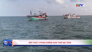 Mức phạt vi phạm chống khai thác IUU tăng [upl. by Ohploda552]