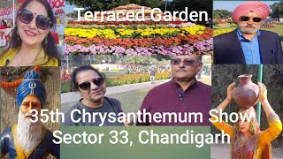 35th Chrysanthemum Show 2022  गुलदाऊदी फेस्टिवल चंडीगढ  kangderang jassdirasoi [upl. by Shandy992]