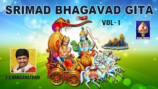 Introduction  Dhyana Shloka  Srimad Bhagvad Gita  By T S Ranganathan [upl. by Annaet168]