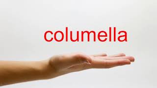 How to Pronounce columella  American English [upl. by Flavian]