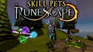 RS3 Skill Pets 03  Willow [upl. by Goggin182]