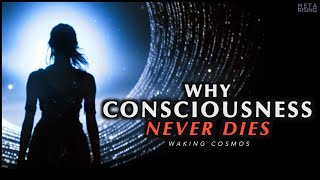 Why Consciousness is Immortal  The Philosophical Proof of Life After Death [upl. by Weisbart727]