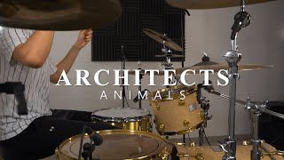 Animals  Architects  Drum Cover [upl. by Zarger284]