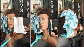 Foilage Blonding and Toning Techniques with Chocolate Brown Hair Color [upl. by Rod]