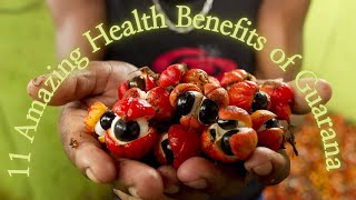 11 Amazing Health Benefits of Guarana [upl. by Kentigera656]