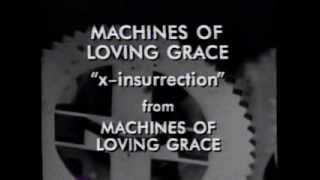 Machines of Loving Grace XInsurrection [upl. by Ahtaga]