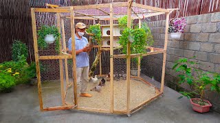 Make cheap bird cage for my wife  Complete guide  Bird cage designs [upl. by Noffets]