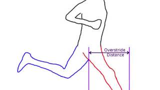 Heel Strike vs Overstriding  Los Angeles Physical Therapist  Dr Raj Brar [upl. by Leummas]