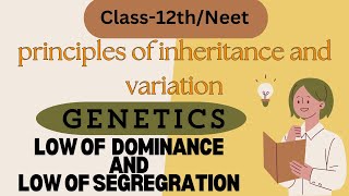 principles of inheritance and variationGenetics Low of Dominance And Low of Segregration [upl. by Ofelia880]