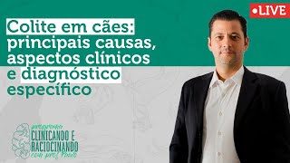 Colite em cães principais causas aspectos clínicos e diagnóstico específico [upl. by Alfredo]