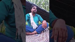 Wafadar Kutta comedy funny marwadicomedy rajasthanicomedy [upl. by Cresa]