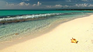 Relaxing Music with Gentle Ocean Sounds Soothing Waves and Peaceful Music [upl. by Madeline]