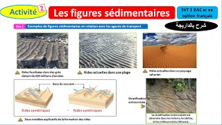 Les figures sédimentaires svt 1 Bac sc ex option français شرح بالداريجة [upl. by Rehsa]