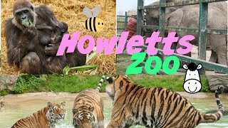 Howletts Zoo [upl. by Aniakudo]