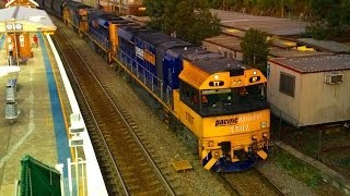 Sydney Trains Vlog 308 Maitland Freight Marathon [upl. by Leahcim]