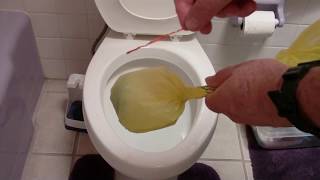 Unclog Toilet Without Plunger Quickly and Easily  The originator of the brush and bag method [upl. by Ahrens]