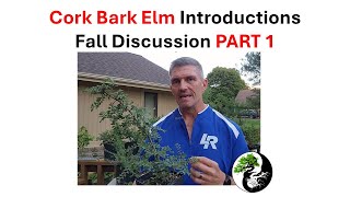 Cork Bark Elm Introduction Part 1 [upl. by Ike]