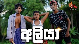 අලියා  ALIYA  KDJ PRODUCTIONS  kdjdiaries [upl. by Alul]