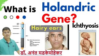 Holandric Inheritance  Holandric genes  Holandric Characters Genes on Y chromosome [upl. by Llenrub]