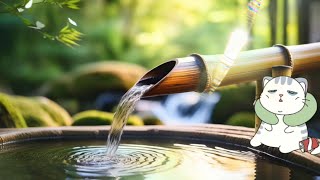 Shishi Odoshi Relaxing Zen Music with Water Sounds • Peaceful Ambience for Spa Yoga and Relaxation [upl. by Ashford]