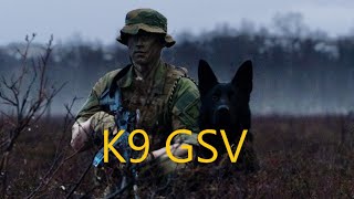 SØK HUNDEFØRER GSV [upl. by Frisse]