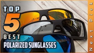 Top 5 Best Polarized Sunglasses Review in 2024 [upl. by Stauder]