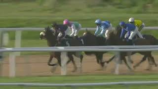 CADOGAN PLACE3 Race Southwell 28 Mar 2024 [upl. by Nikolia463]