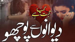 Deewano Se Poocho Mohabbat Hai Kya  Sad Ghazal  Dil Ki Dunya Me  Abdul Karim  2024 [upl. by Nimsay]