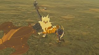 Baby Gold Lynel Vs Link  Zelda Breath of the Wild [upl. by Ellehcyt]