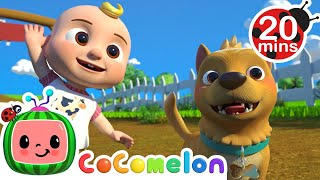 Bingo Farm Version 20 MIN LOOP  CoComelon Nursery Rhymes amp Kids Songs [upl. by Neirual926]