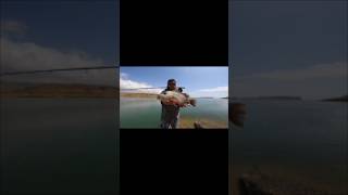 Flyfishing for Mangrove Jack [upl. by Machos]