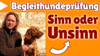 Begleithundeprüfung ►► Stephanie spricht über die Begleithundeprüfung [upl. by Oman]