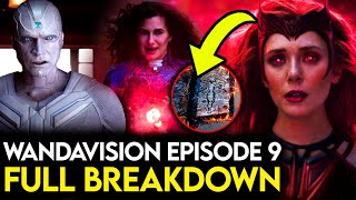 WandaVision Episode 9 Breakdown amp Review  Ending Explained Post Credits Scene amp Theories [upl. by Litnahc]