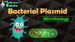 PLASMID  BACTERIAL GENETICS  CSIR NET GATE  MSc and BSc in hindi [upl. by Tiloine419]