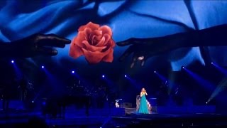 Celine Dion  My Heart Will Go On Live January 17th 2017 Las Vegas [upl. by Alyahsat]