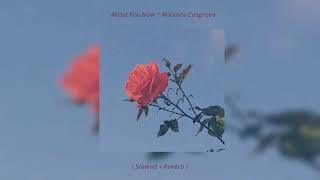 About You Now  Miranda Cosgrove  Slowed  Reverb [upl. by Ginnie]