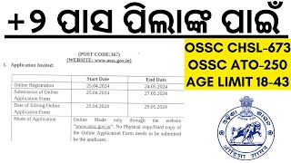 ଓଡ଼ିଶାର ୨ ପାସ କରିଥିବା ପିଲାଙ୍କ ପାଇଁ ଆସିଲା ୬୭୩ଟି ପଦବୀ ଓ ଏଟିଓ ୨୫୦ଟି ପଦବୀ OSSC CHSL 2024 I ATO 2024 I [upl. by Rednasela]