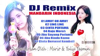 DJ Remix Mandarin Indonesia Amoy Oh Amoy  Ling Ling [upl. by Hareehat]