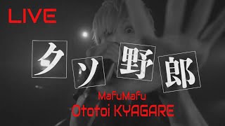 Mafumafu  Ototoi Kyagare  Tokyo Dome LIVE 2021 [upl. by Marko]