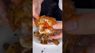 Sauce Injected Fried Chicken asmr [upl. by Rolyab]