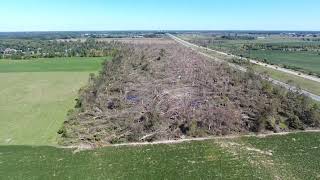 WilliamstonWebberville Tornado Aftermath  2023 [upl. by Clotilde]