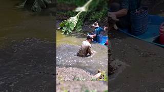 Fishing Videos Máy Kích Cá Mạnh Nhất Hiện Nay shorts kichca fishingvideos [upl. by Dominik700]