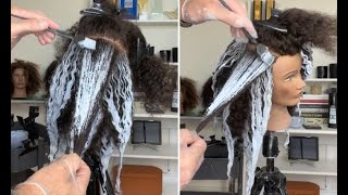 Balayage Color Tutorial for Curly hair  Balayage Tips amp Techniques [upl. by Tooley]