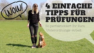 4 Einfache Tipps für Eure Hunde Prüfungen [upl. by Sissie]