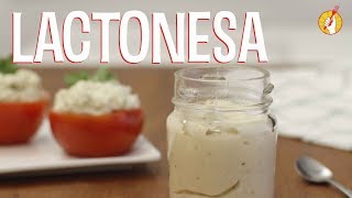 MAYONESA sin Huevo CASERA pocos ingredientes  Receta Fácil de Lactonesa  Tenedor Libre En1Minuto [upl. by Cotter]