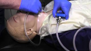 Needle Cricothyrotomy Skill Practice NRP [upl. by Storfer]