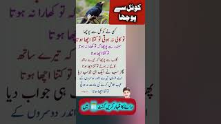 کوئل سے کس نے پوچھا کہ تو اتنی کالی کیوں ہوتی ہے  urduproduction urdustories urdu shorts [upl. by Atiroc]