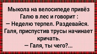 Как Мыкола в Лес Галю Возил Сборник Свежих Анекдотов Юмор [upl. by Lirbij]